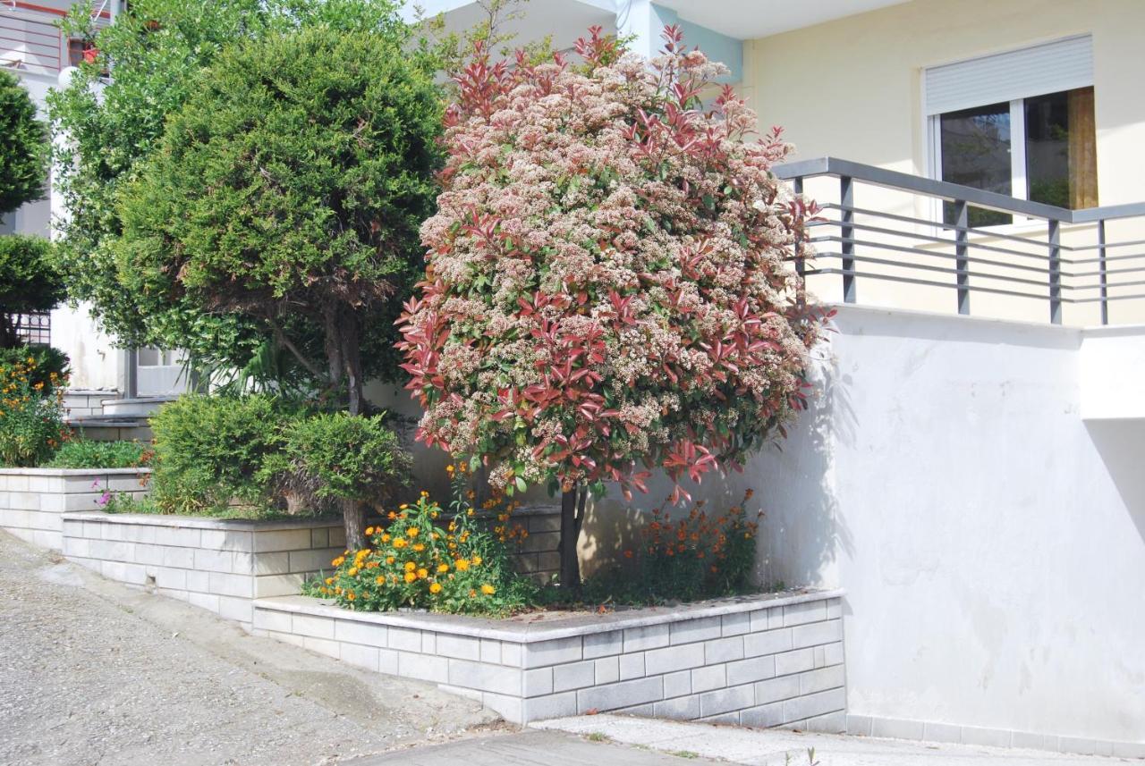 Sunshine Apartment